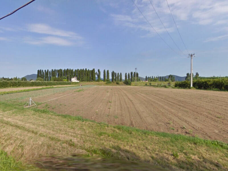 terreno agricolo in vendita a Pernumia