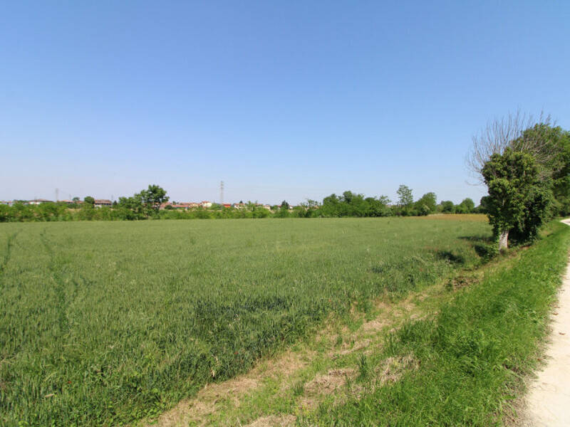 terreno edificabile in vendita a Pernumia