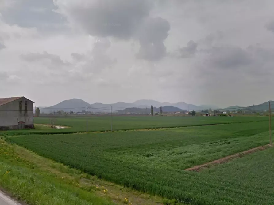 attico in vendita a Pernumia