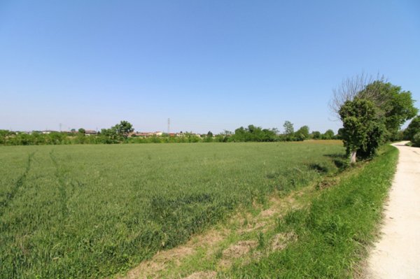 casa indipendente in vendita a Pernumia