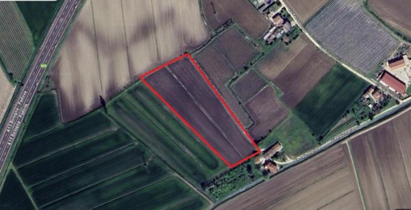 terreno agricolo in vendita a Pernumia