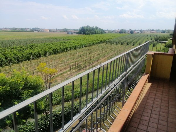 appartamento in vendita a Pernumia