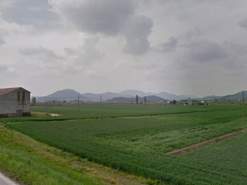 terreno agricolo in vendita a Pernumia