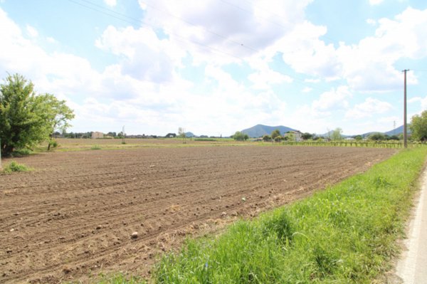 casa indipendente in vendita a Pernumia