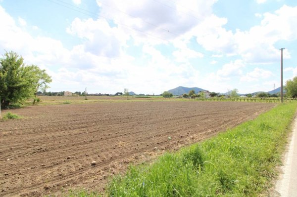 casa indipendente in vendita a Pernumia