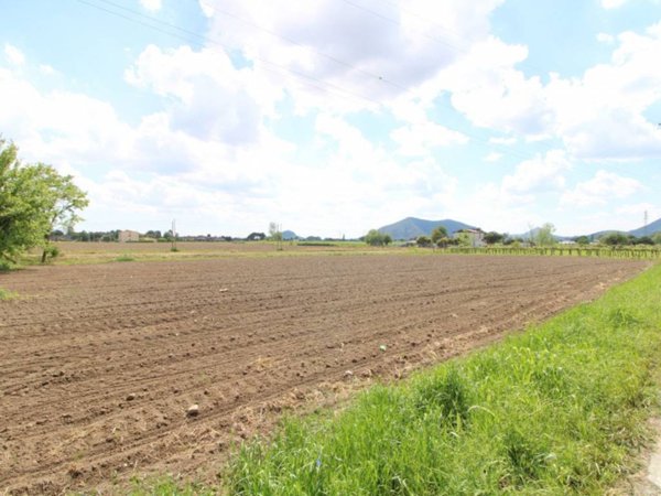 terreno agricolo in vendita a Pernumia