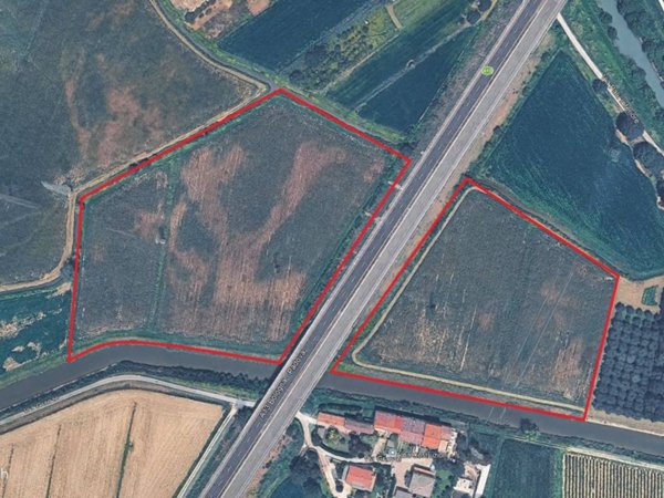 terreno agricolo in vendita a Pernumia