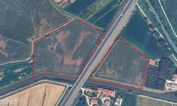 terreno agricolo in vendita a Pernumia