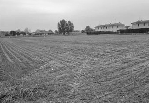 terreno edificabile in vendita a Piacenza d'Adige