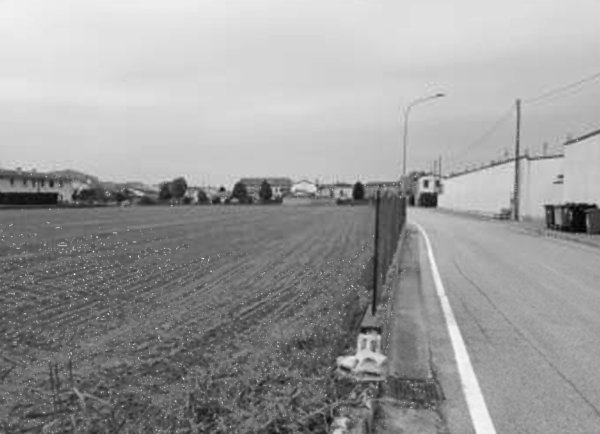 terreno edificabile in vendita a Piacenza d'Adige