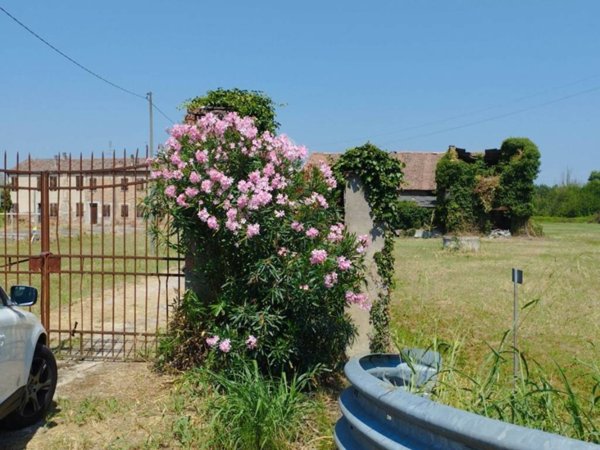 terreno agricolo in vendita a Piacenza d'Adige in zona Sabbioni