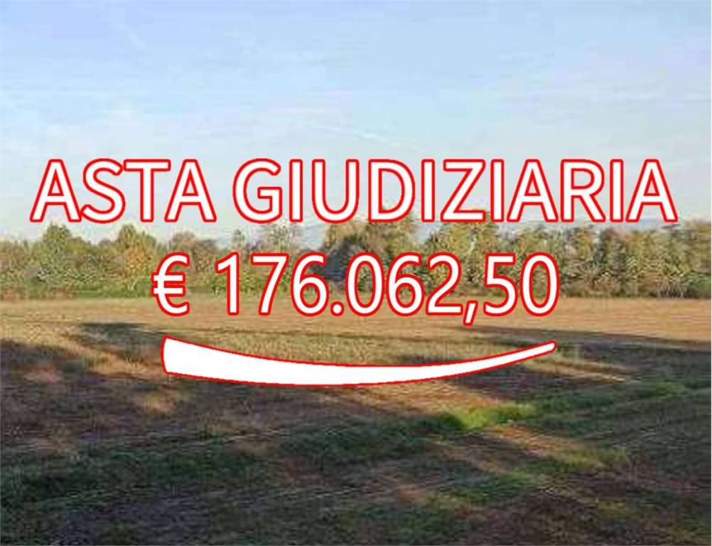 terreno agricolo in vendita a Piazzola sul Brenta