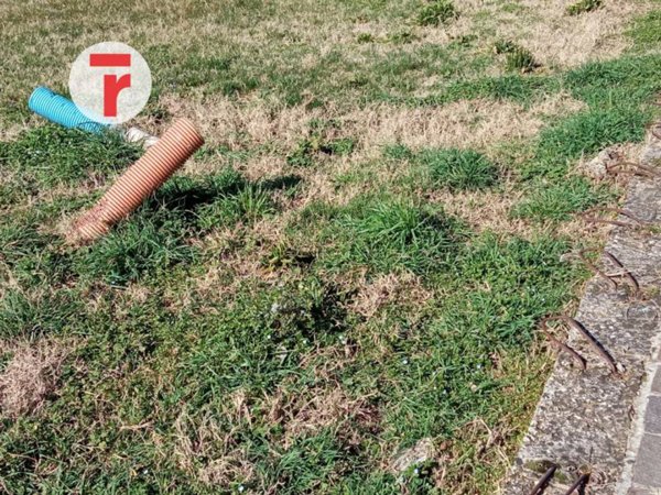 terreno edificabile in vendita a Piazzola sul Brenta in zona Vaccarino