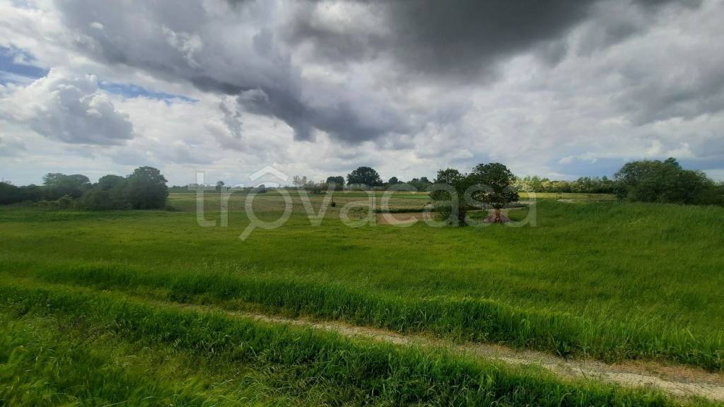 terreno agricolo in vendita a Piazzola sul Brenta in zona Carturo