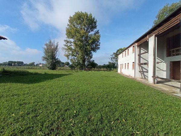 casa indipendente in vendita a Piazzola sul Brenta in zona Tremignon
