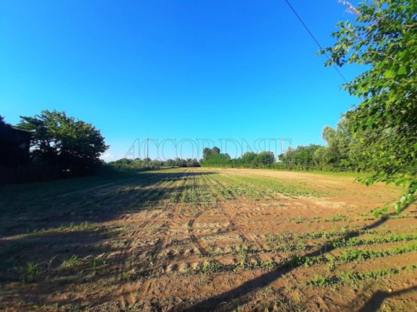 terreno agricolo in vendita a Piazzola sul Brenta in zona Vaccarino