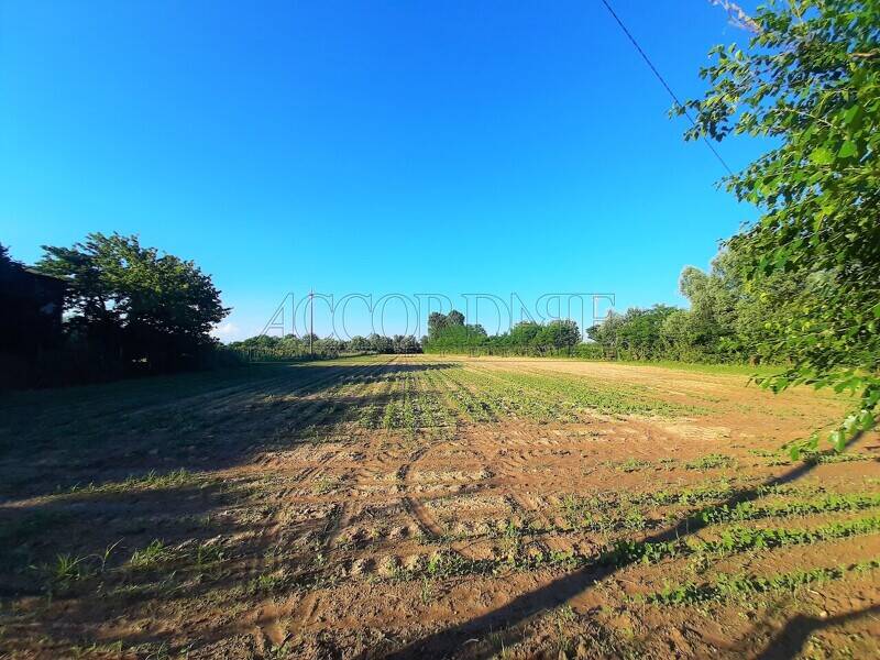 terreno agricolo in vendita a Piazzola sul Brenta