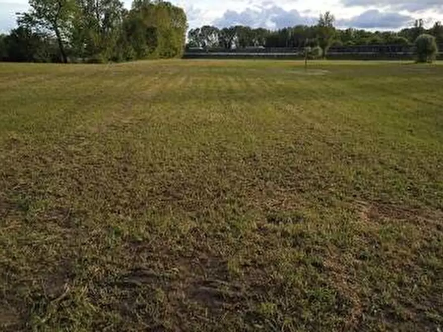 casa indipendente in vendita a Piazzola sul Brenta in zona Carturo