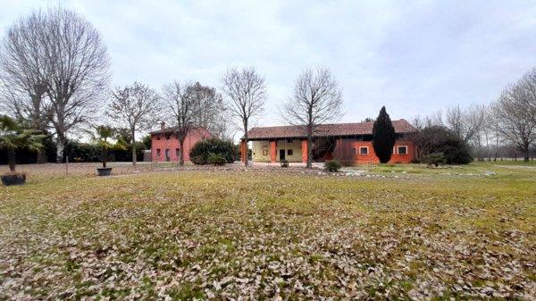 negozio in vendita a Piazzola sul Brenta