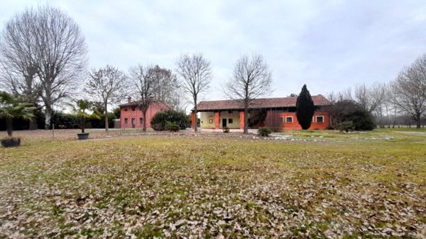 negozio in vendita a Piazzola sul Brenta