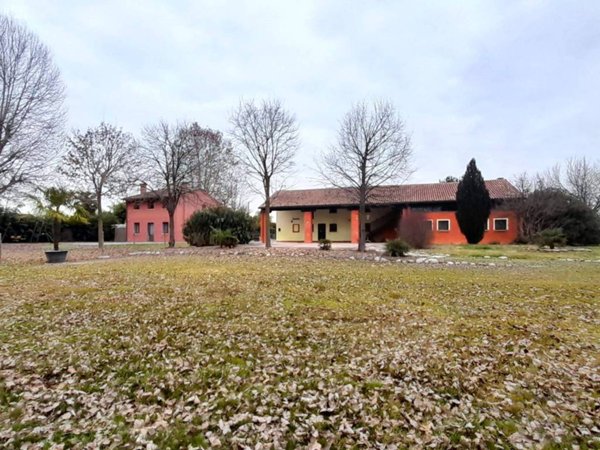 negozio in vendita a Piazzola sul Brenta in zona Carturo