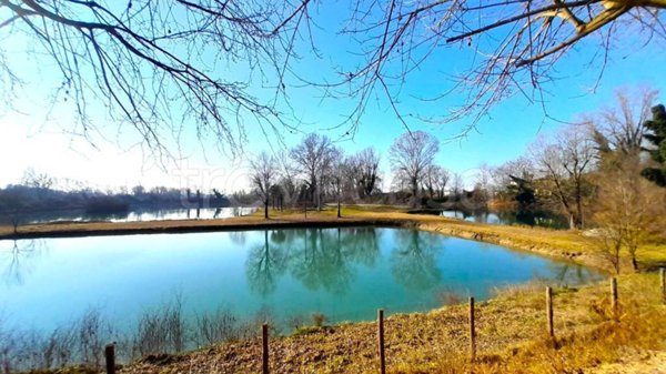 negozio in vendita a Piazzola sul Brenta