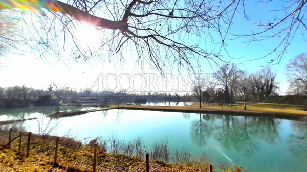 negozio in vendita a Piazzola sul Brenta