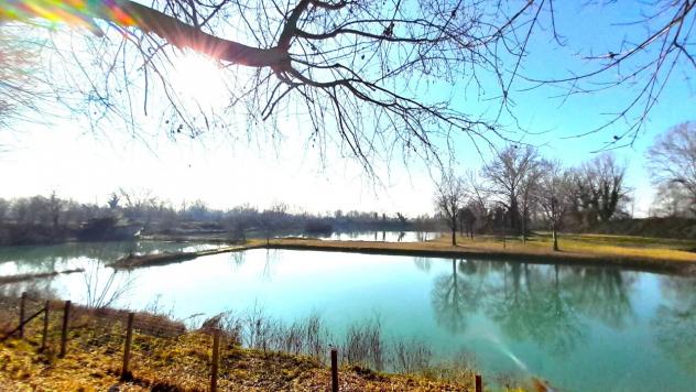 negozio in vendita a Piazzola sul Brenta