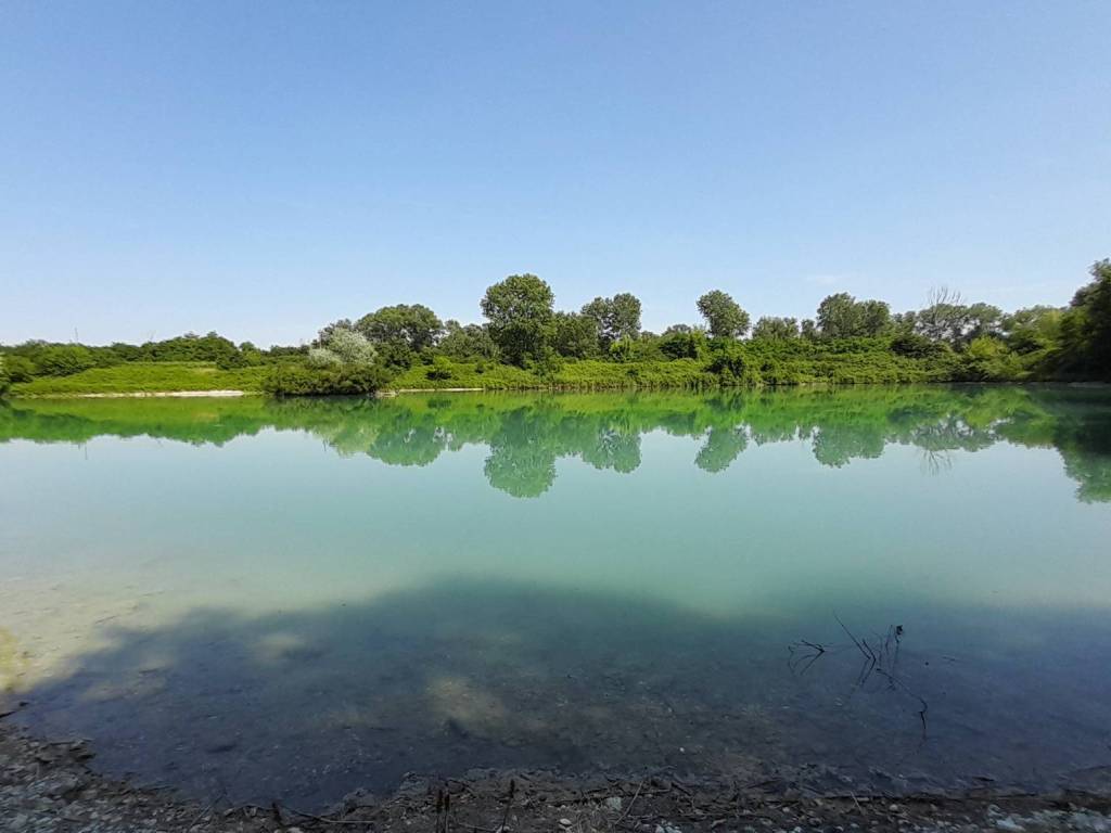 casa indipendente in vendita a Piazzola sul Brenta in zona Carturo