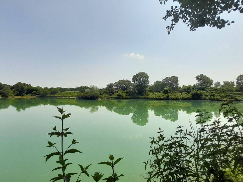 casa indipendente in vendita a Piazzola sul Brenta in zona Carturo