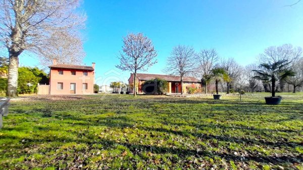 negozio in vendita a Piazzola sul Brenta