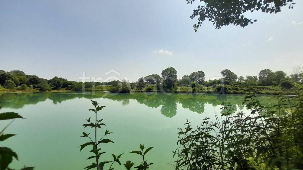 negozio in vendita a Piazzola sul Brenta