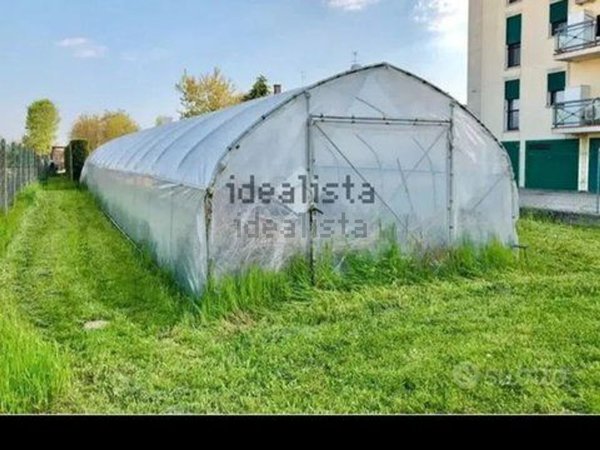 terreno agricolo in vendita a Piazzola sul Brenta
