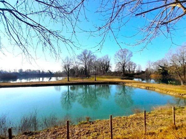 negozio in vendita a Piazzola sul Brenta in zona Carturo