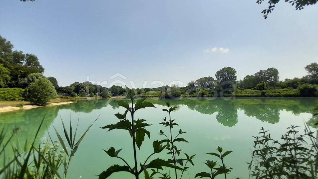 negozio in vendita a Piazzola sul Brenta