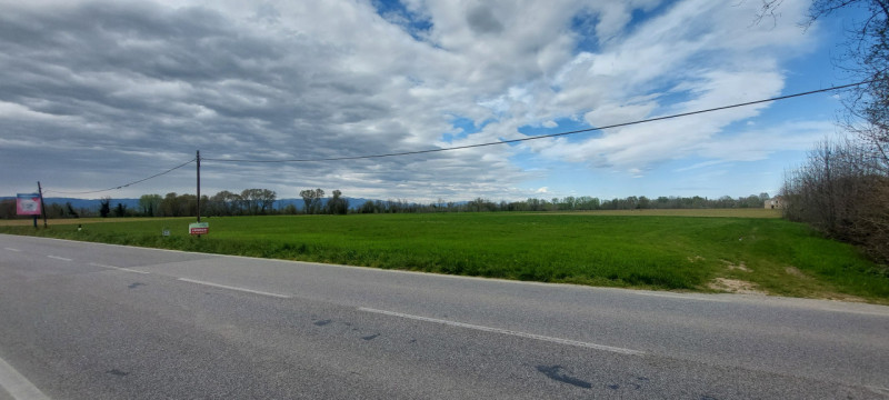 terreno edificabile in vendita a Piazzola sul Brenta in zona Presina