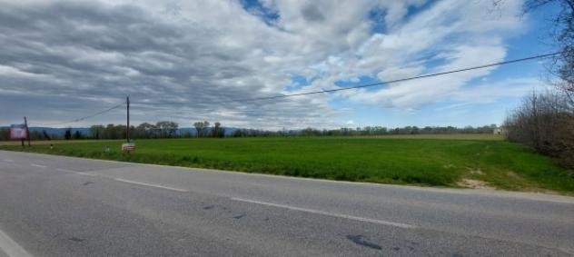 terreno edificabile in vendita a Piazzola sul Brenta in zona Presina