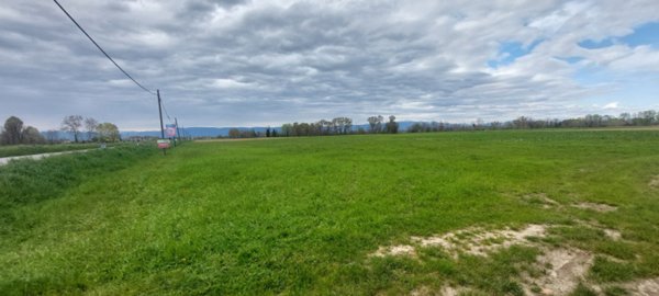terreno edificabile in vendita a Piazzola sul Brenta in zona Presina