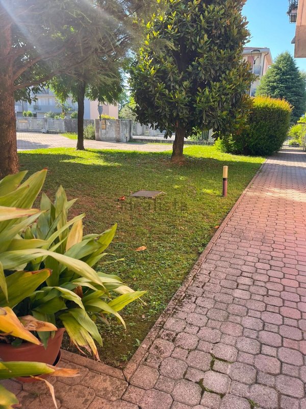 appartamento in vendita a Piazzola sul Brenta