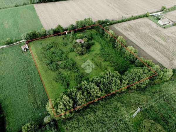 casa indipendente in vendita a Piazzola sul Brenta