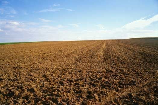 terreno agricolo in vendita a Piombino Dese