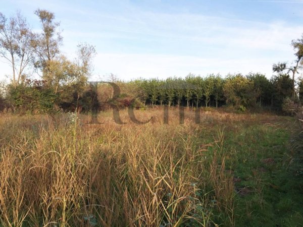 terreno agricolo in vendita a Piombino Dese in zona Torreselle