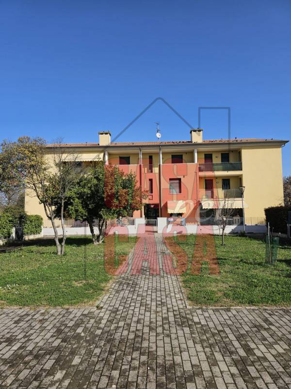 appartamento in vendita a Piombino Dese