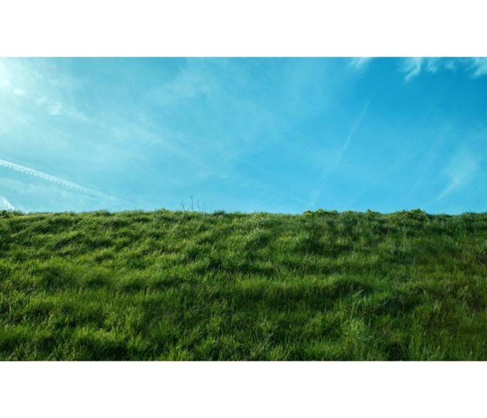 terreno agricolo in vendita a Piombino Dese