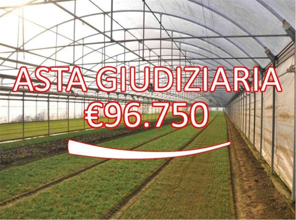 casa indipendente in vendita a Piombino Dese in zona Torreselle