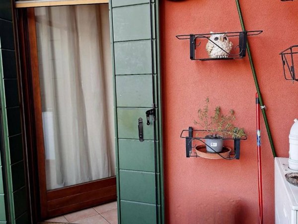 appartamento in vendita a Piombino Dese