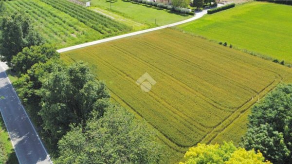terreno agricolo in vendita a Piombino Dese