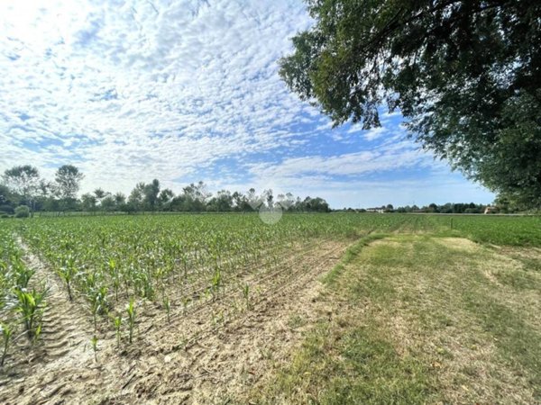 terreno agricolo in vendita a Piombino Dese
