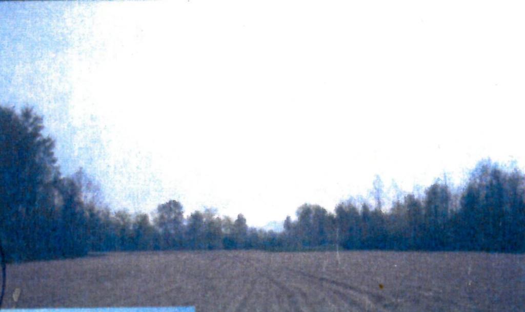 terreno agricolo in vendita a Piombino Dese in zona Torreselle