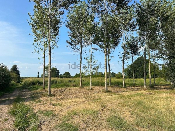 terreno agricolo in vendita a Piombino Dese